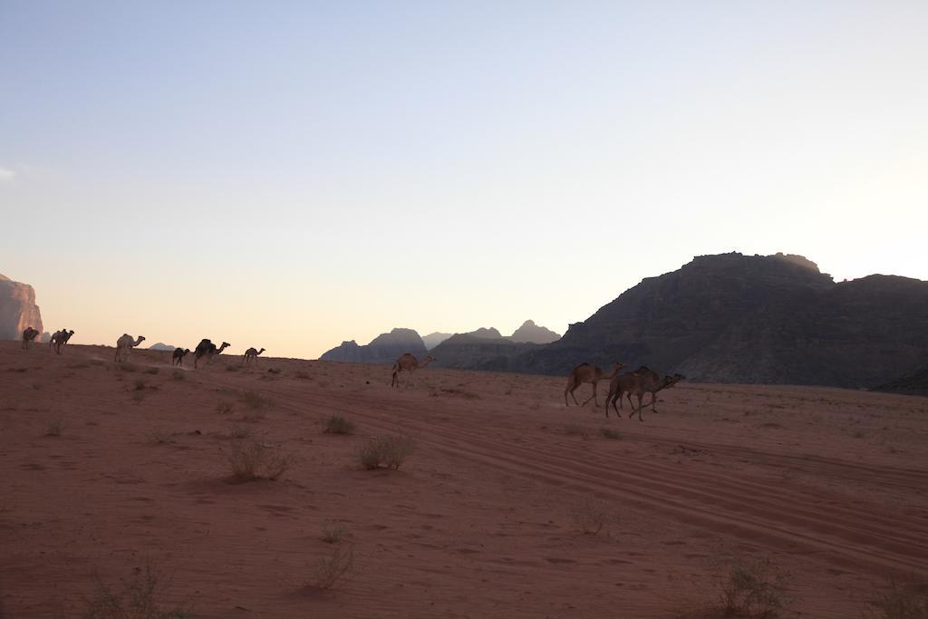 Bedouin Expedition Вади-Рам Экстерьер фото