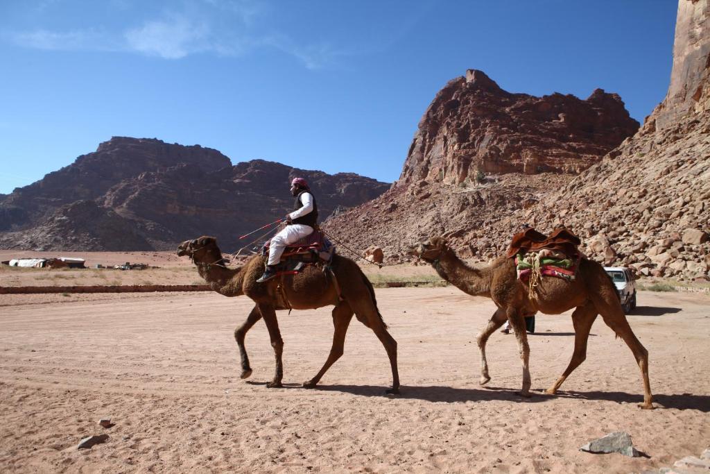 Bedouin Expedition Вади-Рам Экстерьер фото